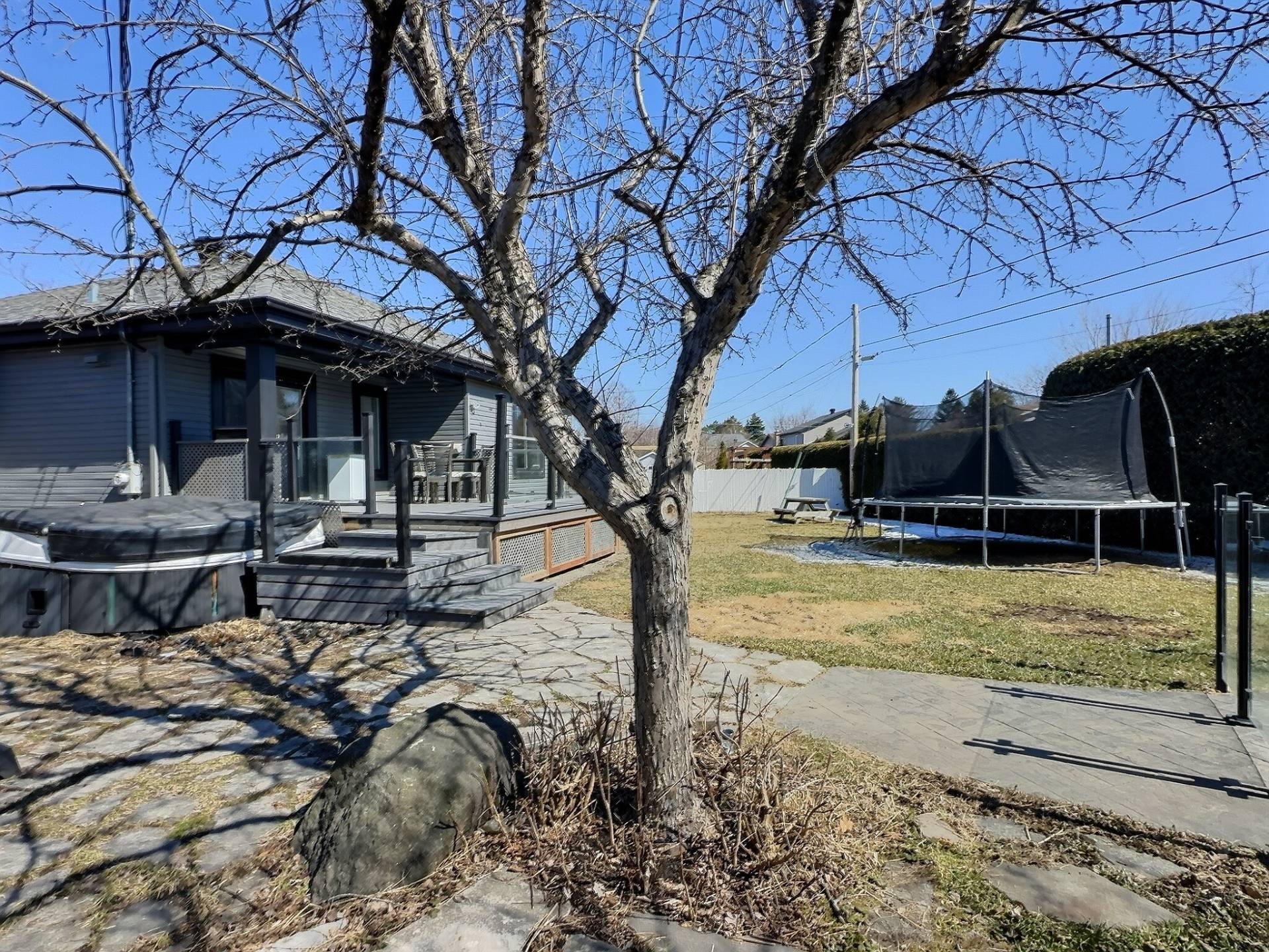 Photo - Backyard