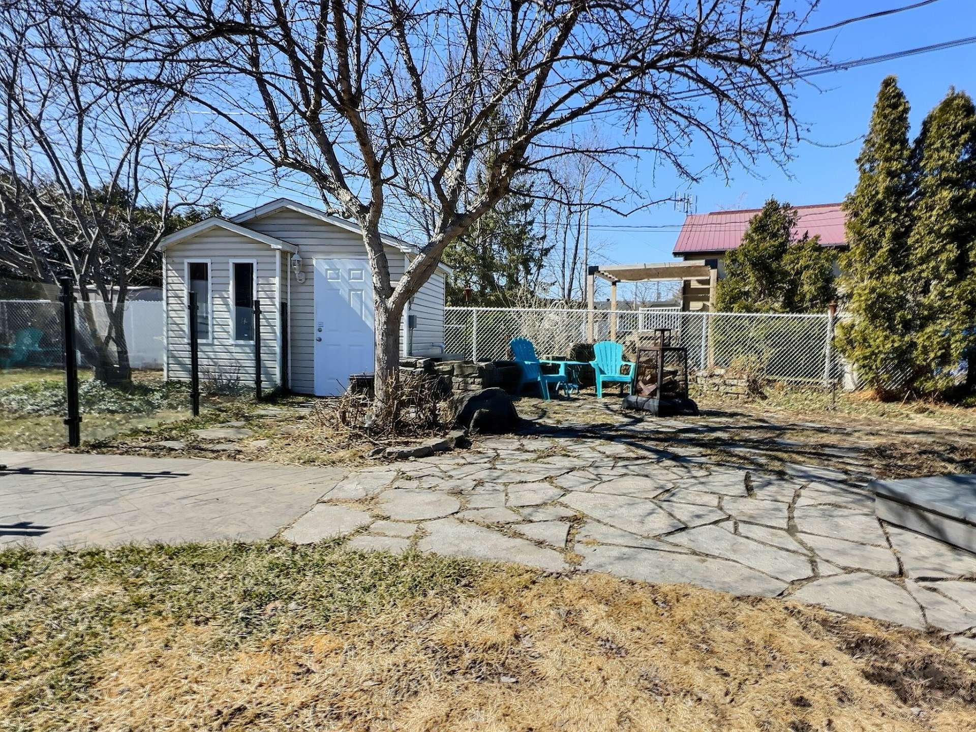 Photo - Backyard