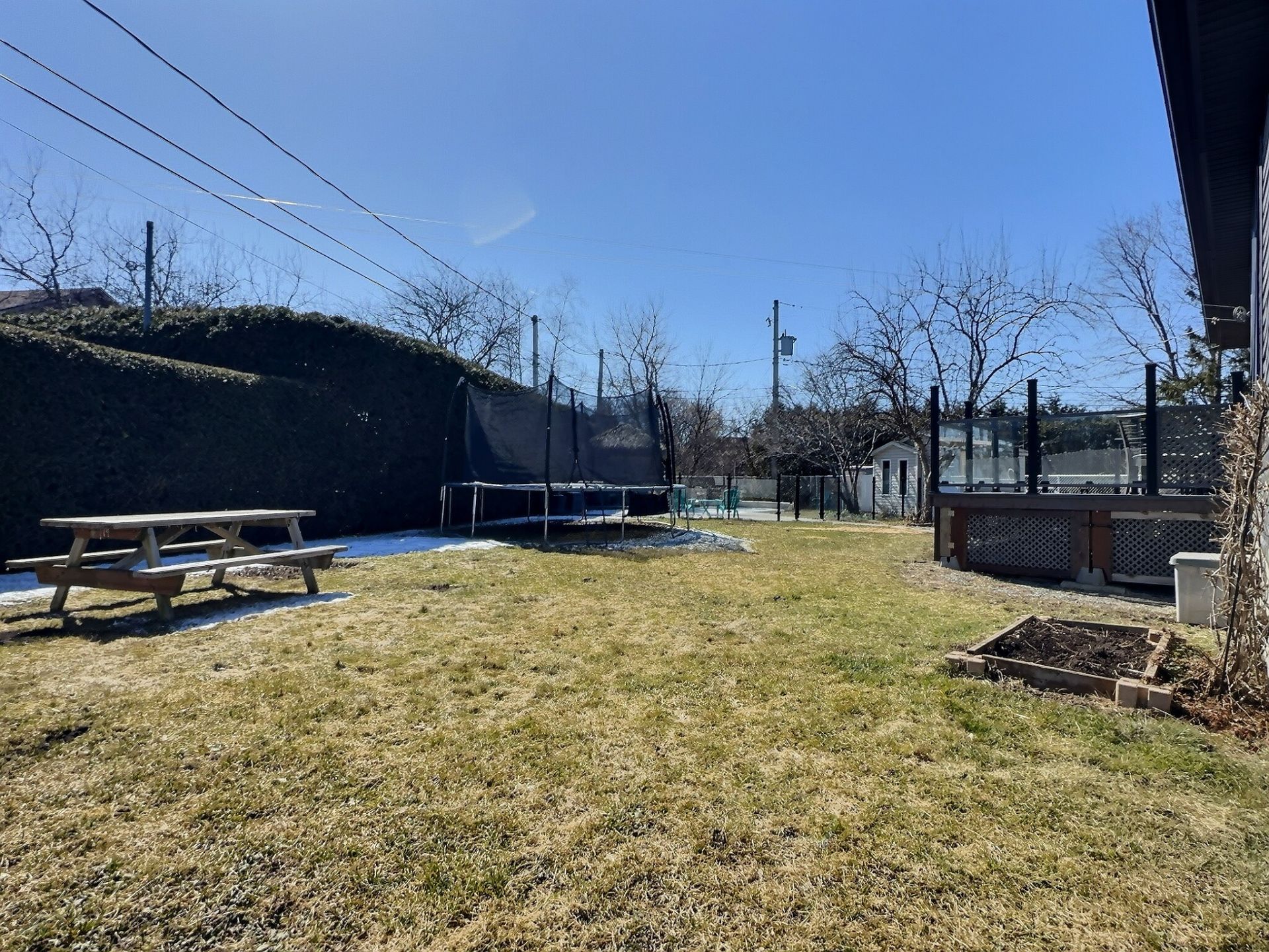 Photo - Backyard