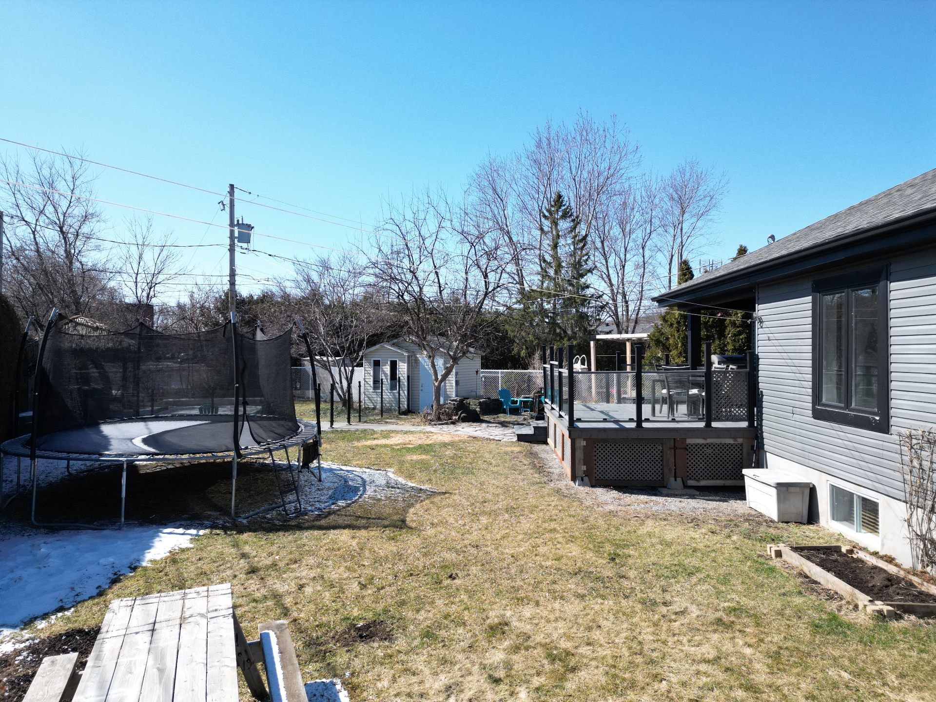 Photo - Backyard