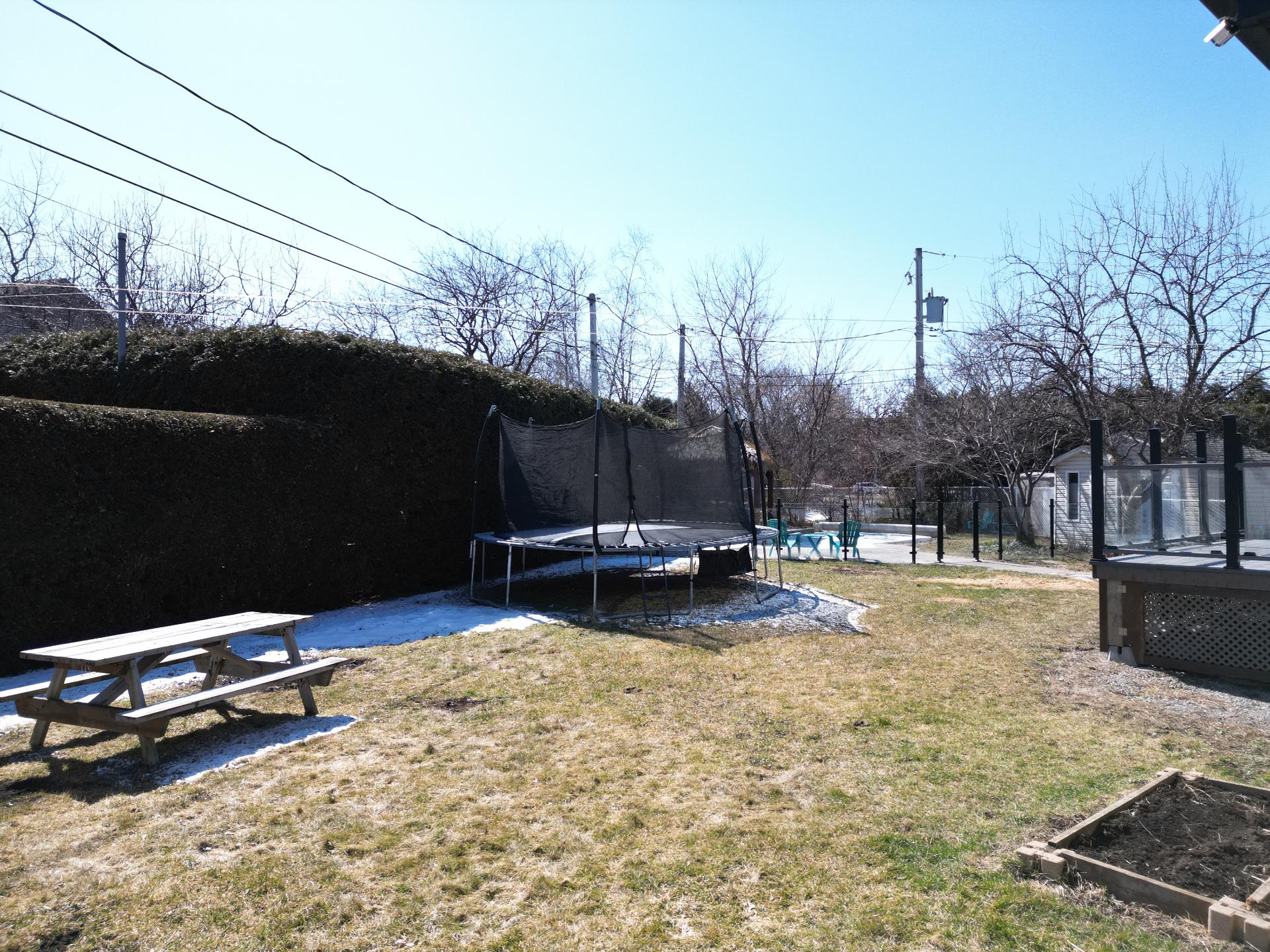Photo - Backyard