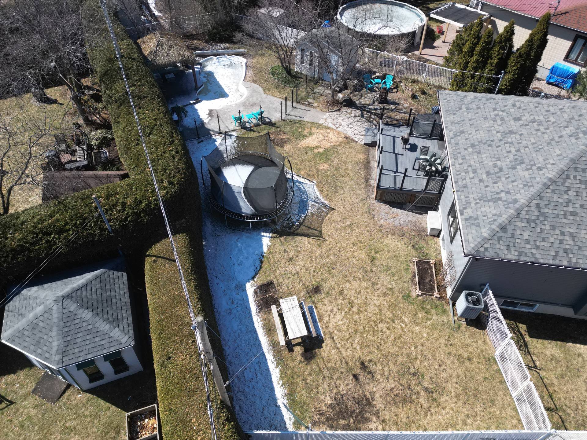 Photo - Aerial photo