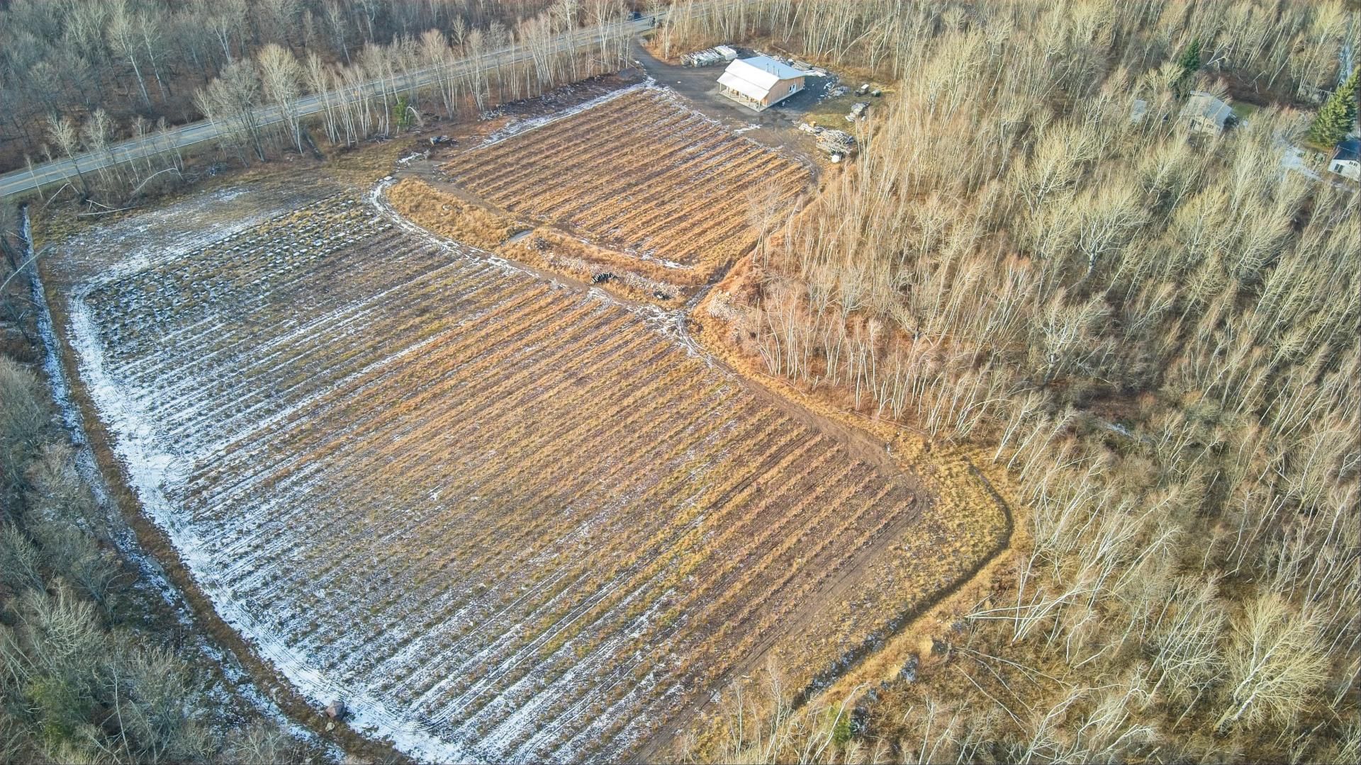 Photo - Vue d'ensemble