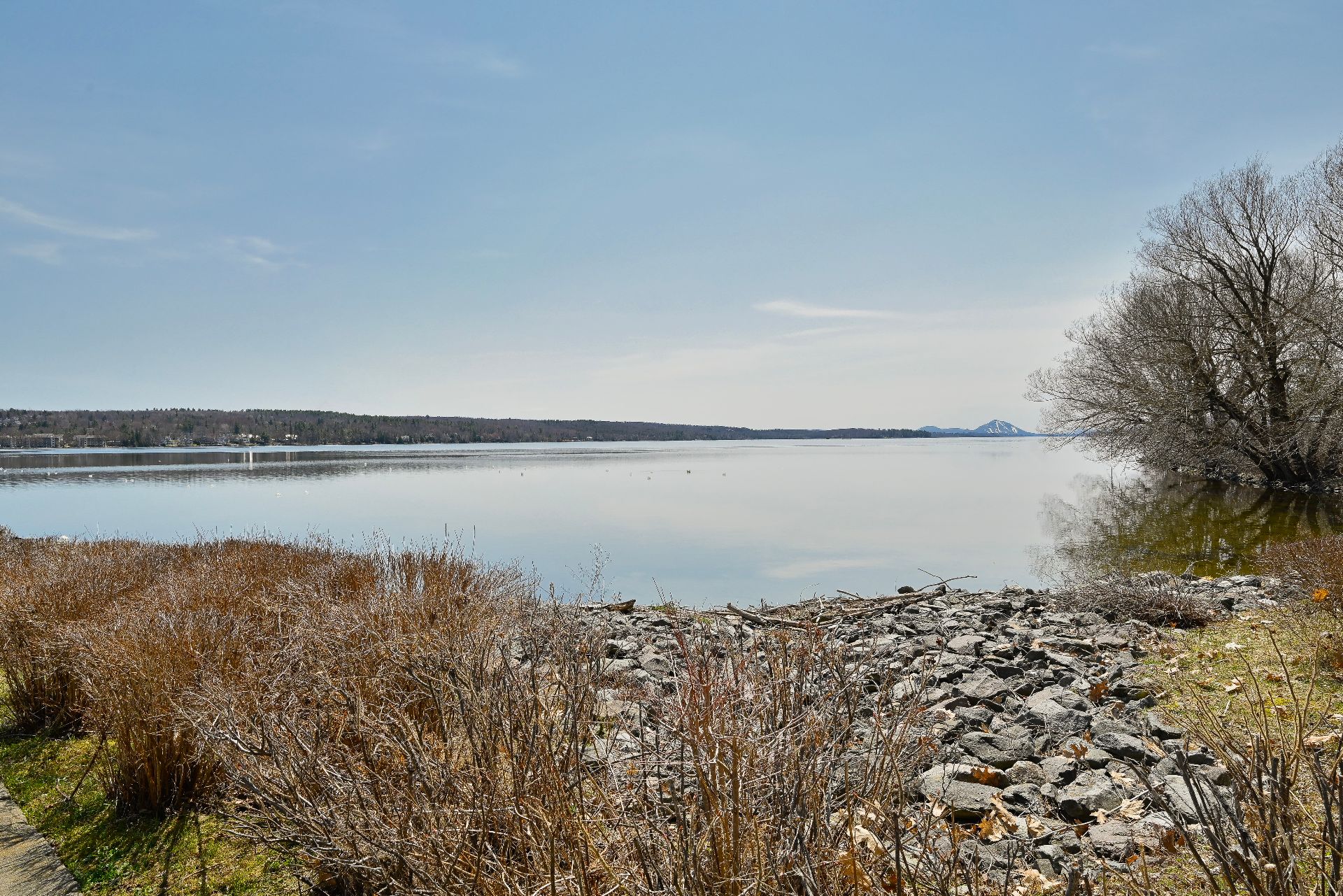 Vue sur l'eau