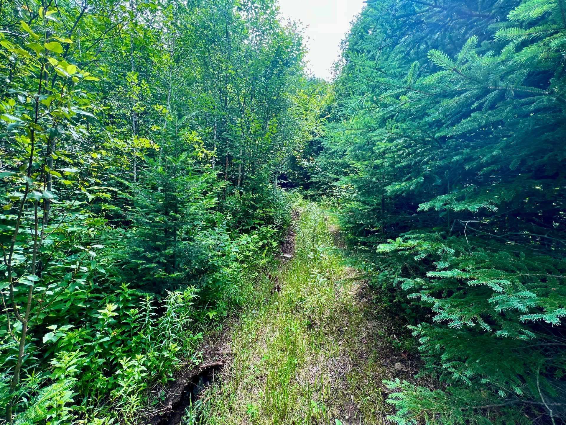 Photo - Terre/Terrain