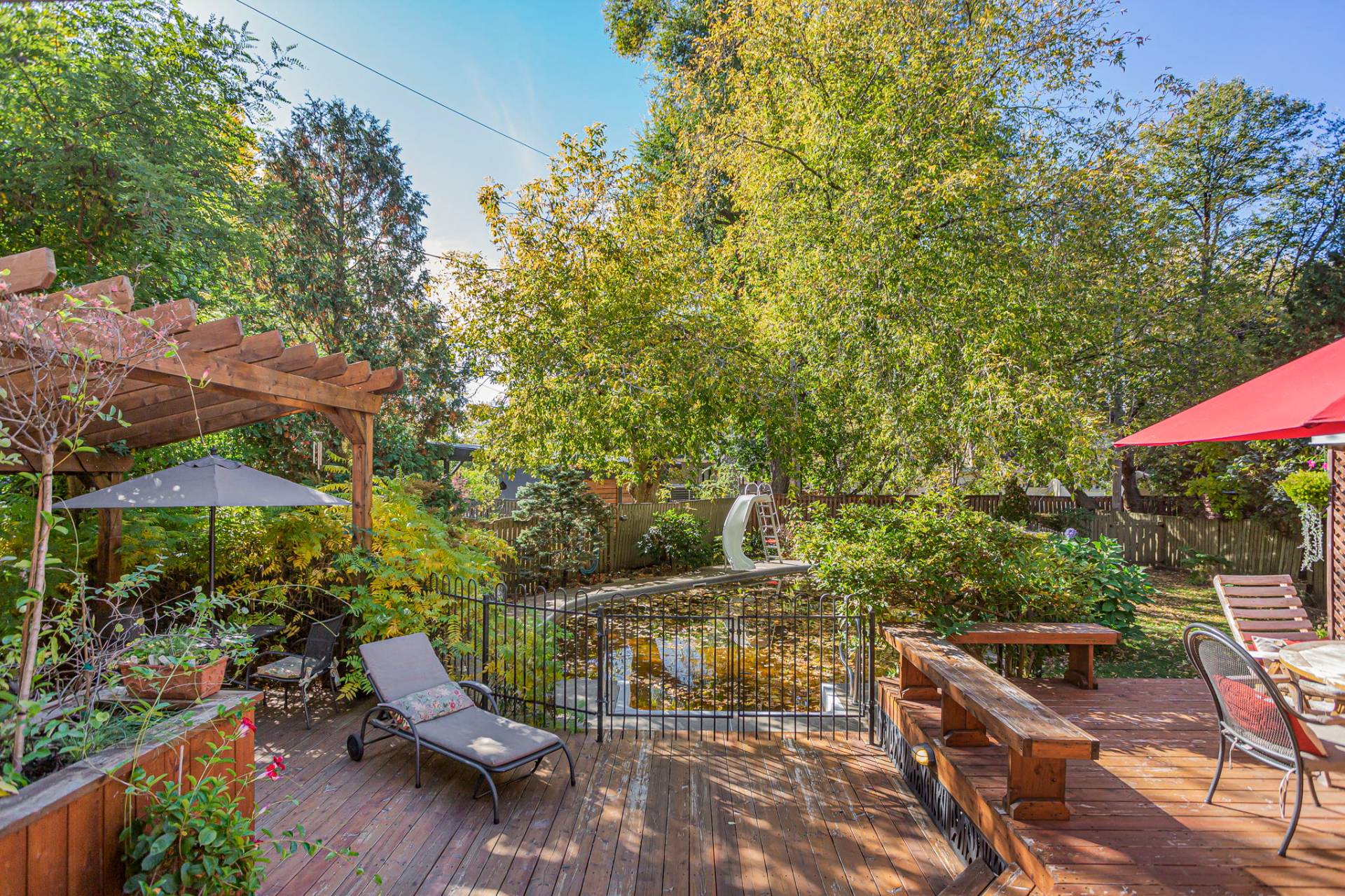 Backyard