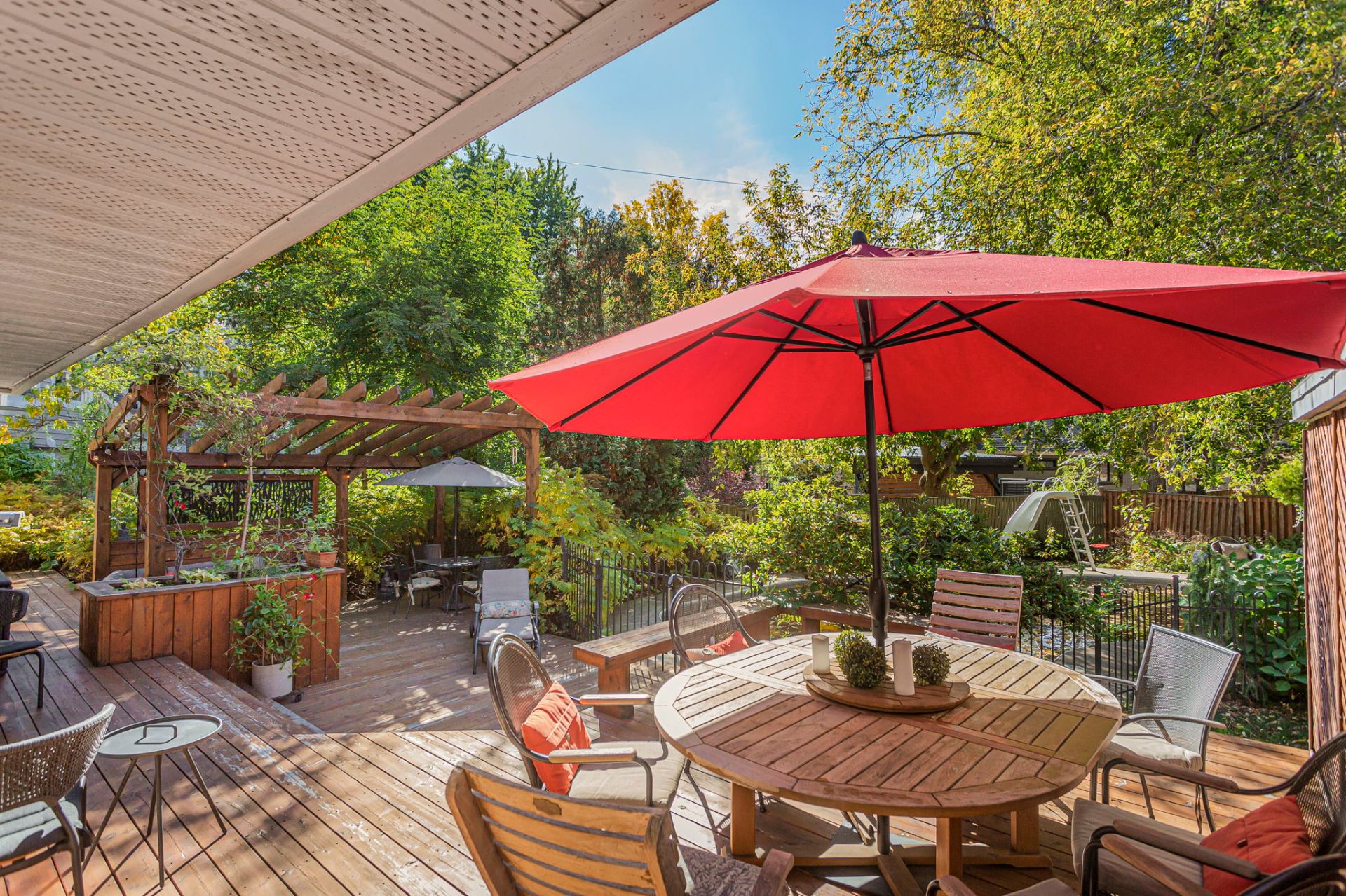 Backyard