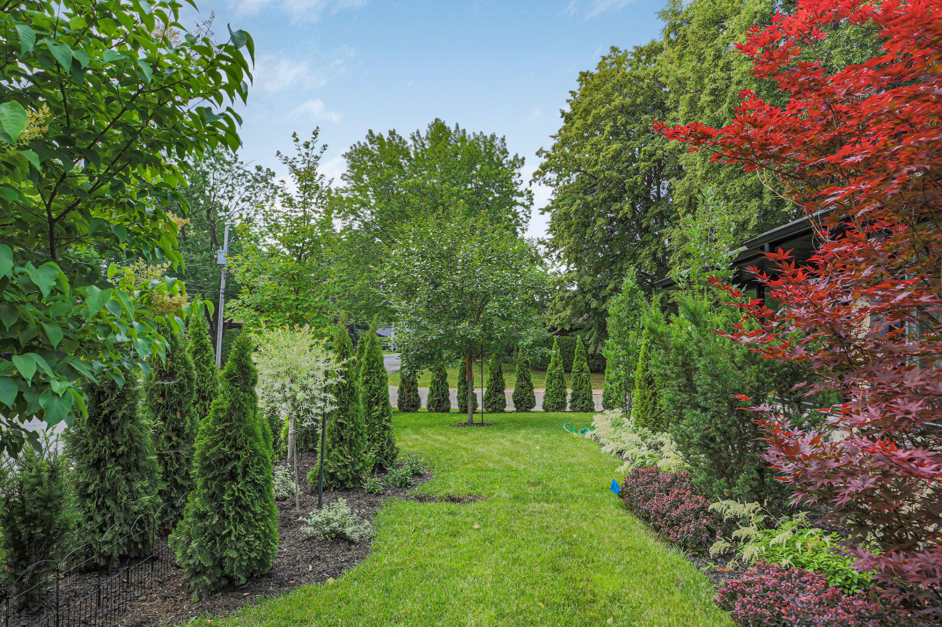 Jardin