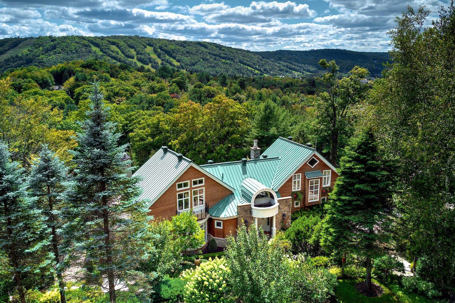 Photo - Aerial photo