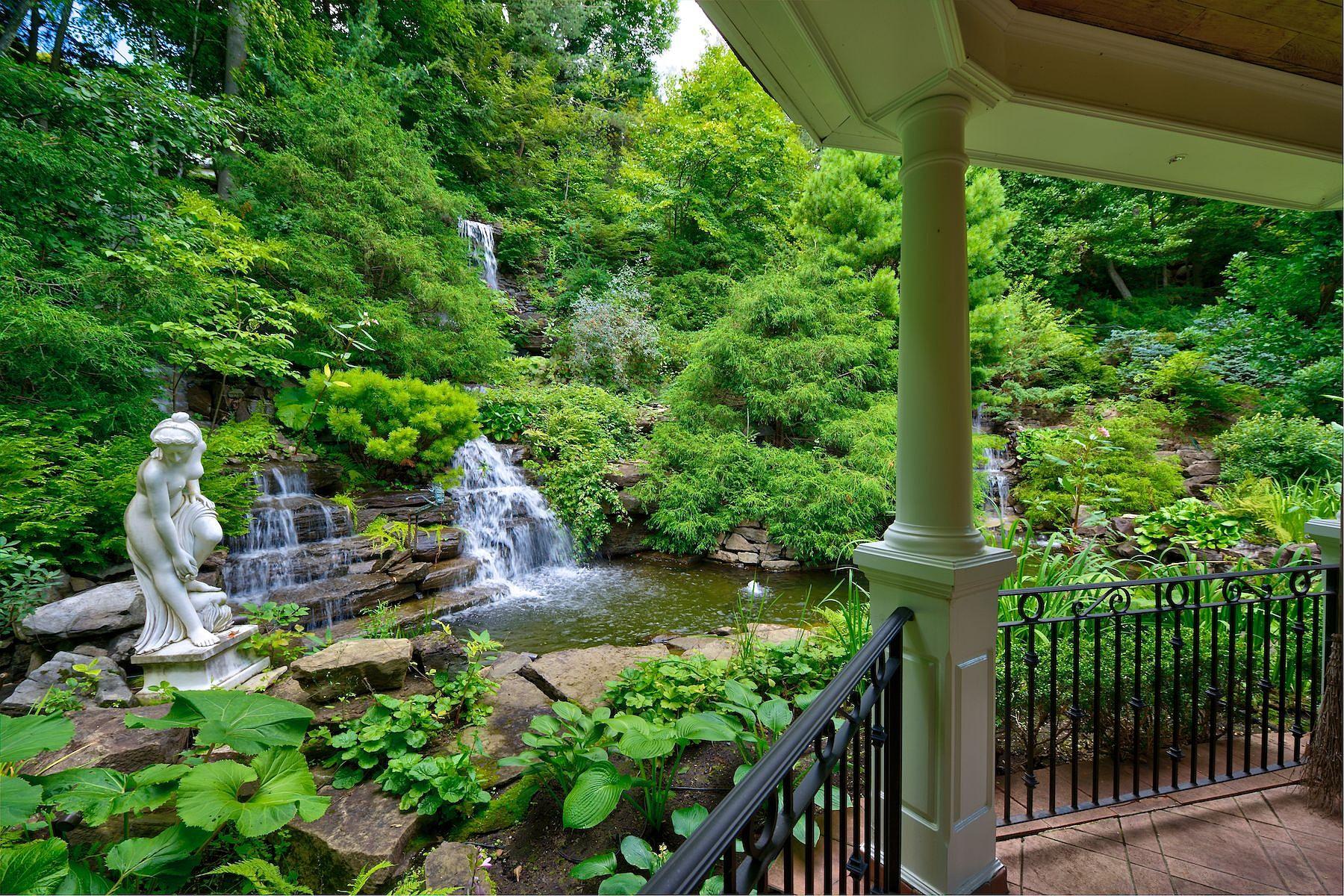 Photo - Backyard