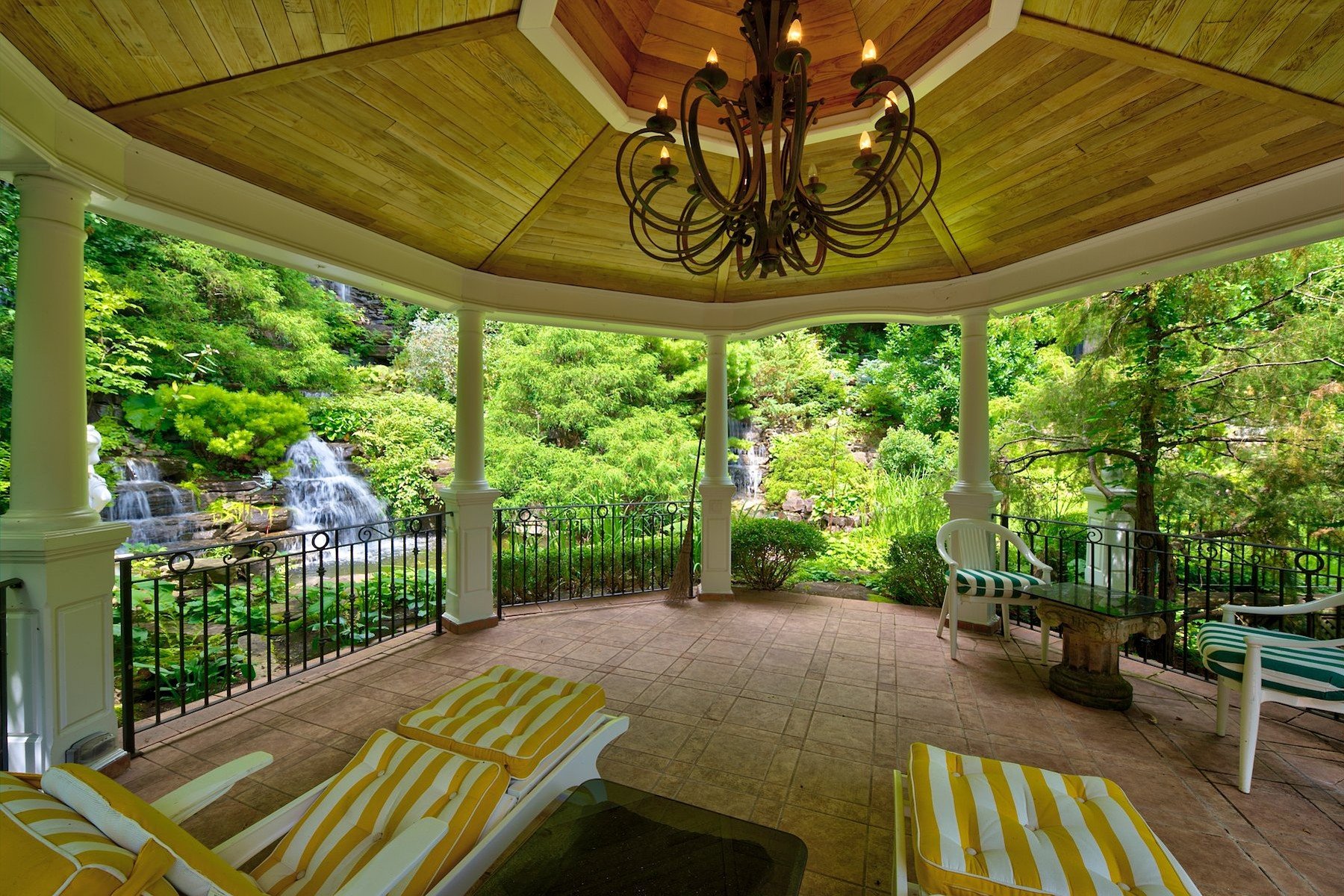 Photo - Backyard