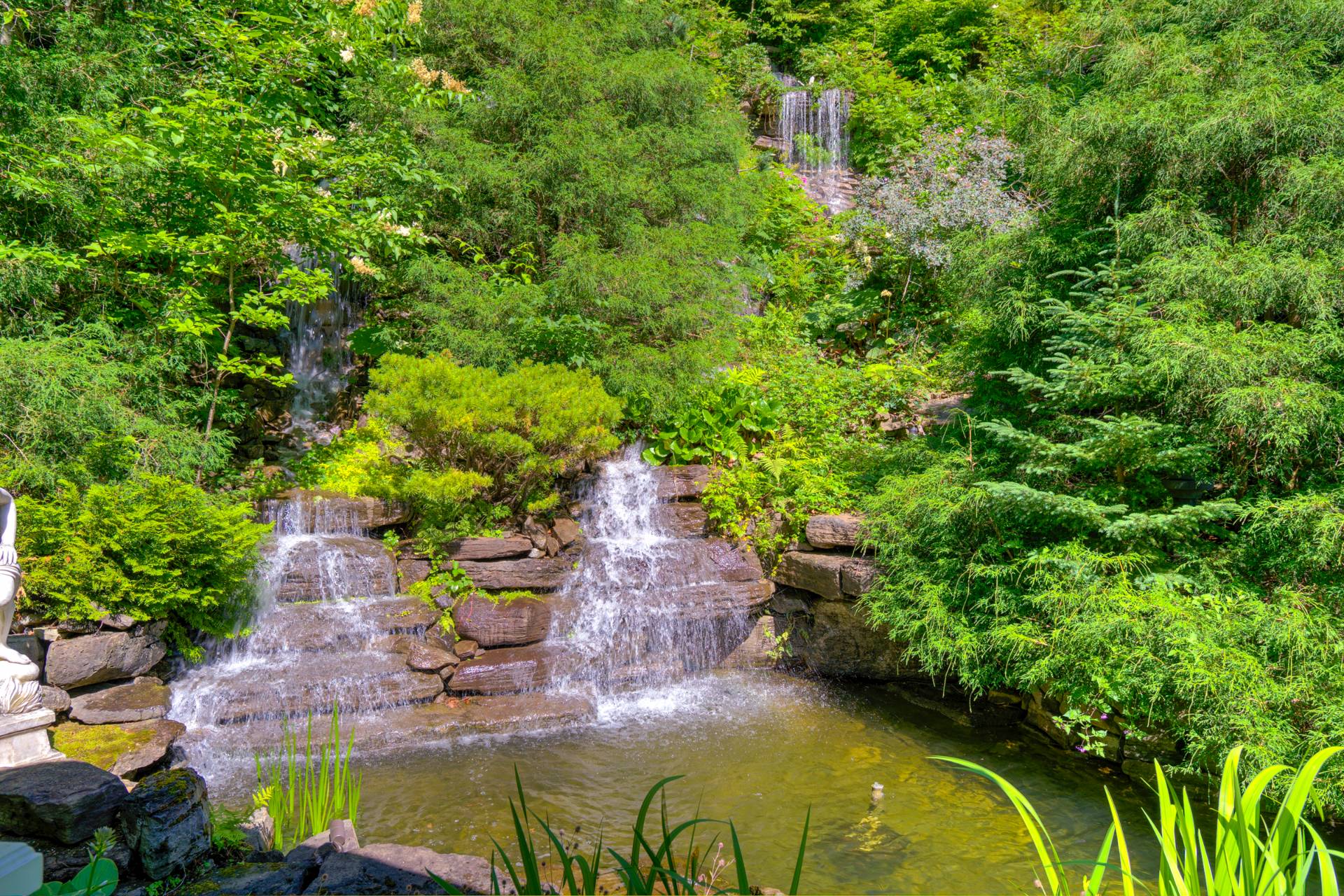 Photo - Water view
