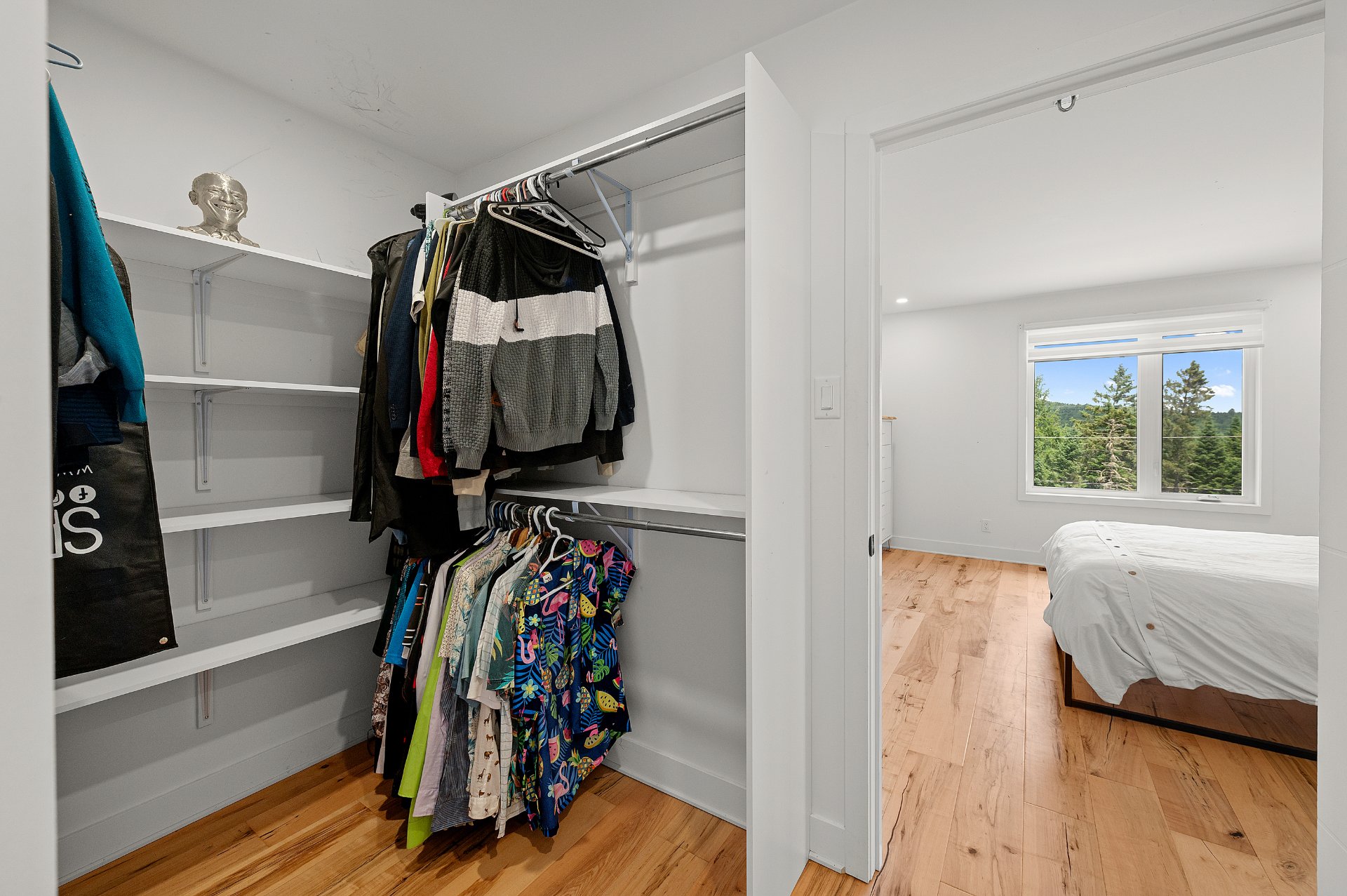 Photo - Walk-in closet