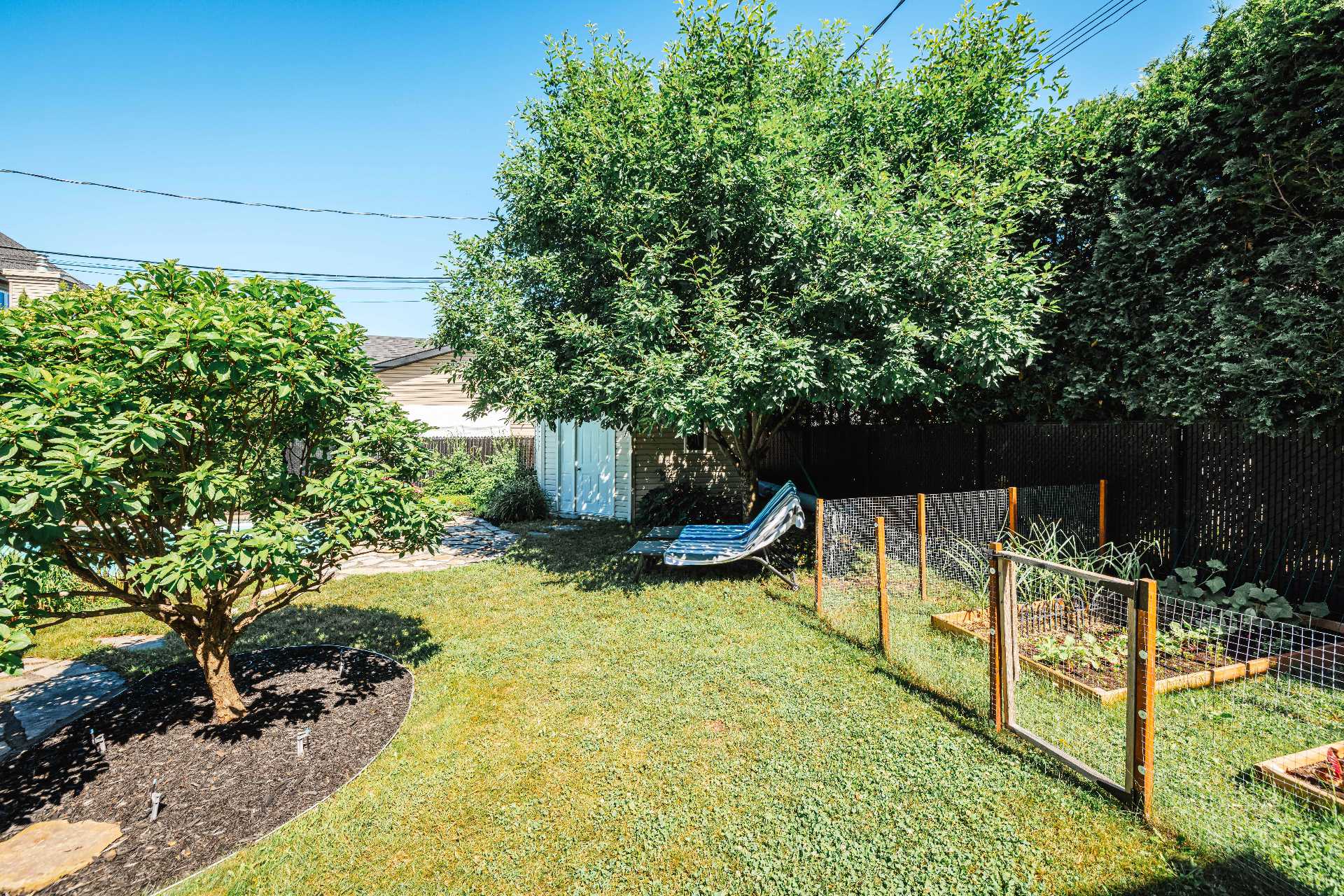 Backyard