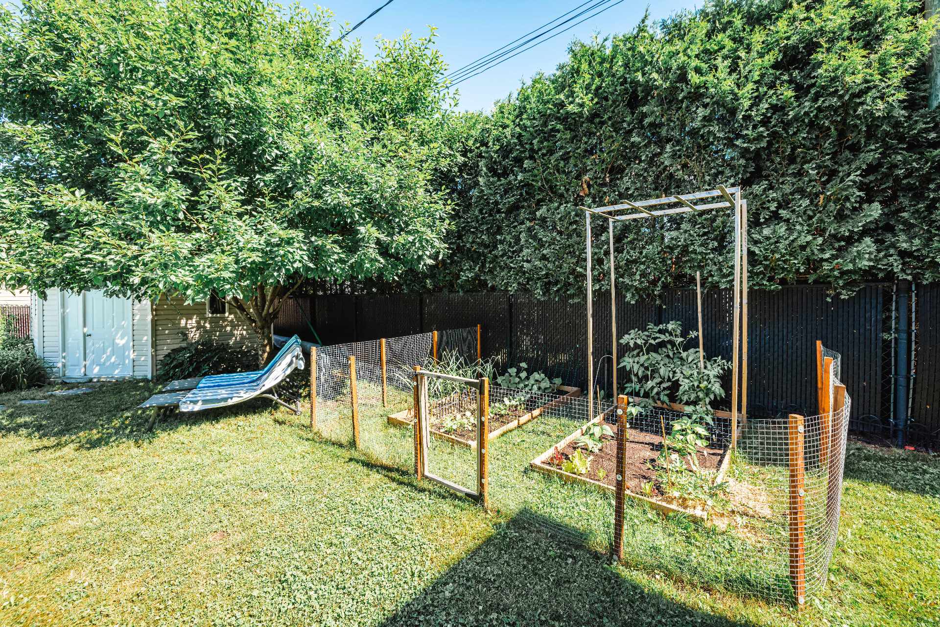 Backyard