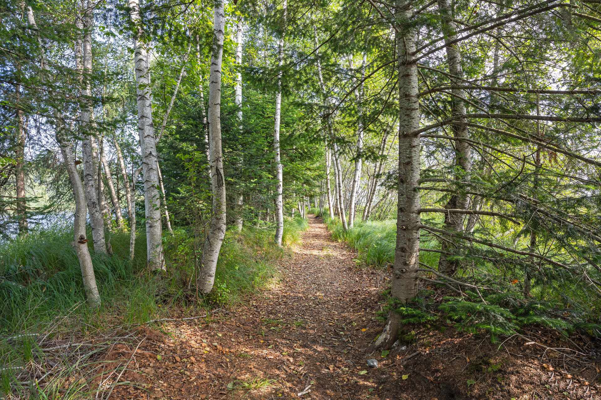 Photo - Terre/Terrain