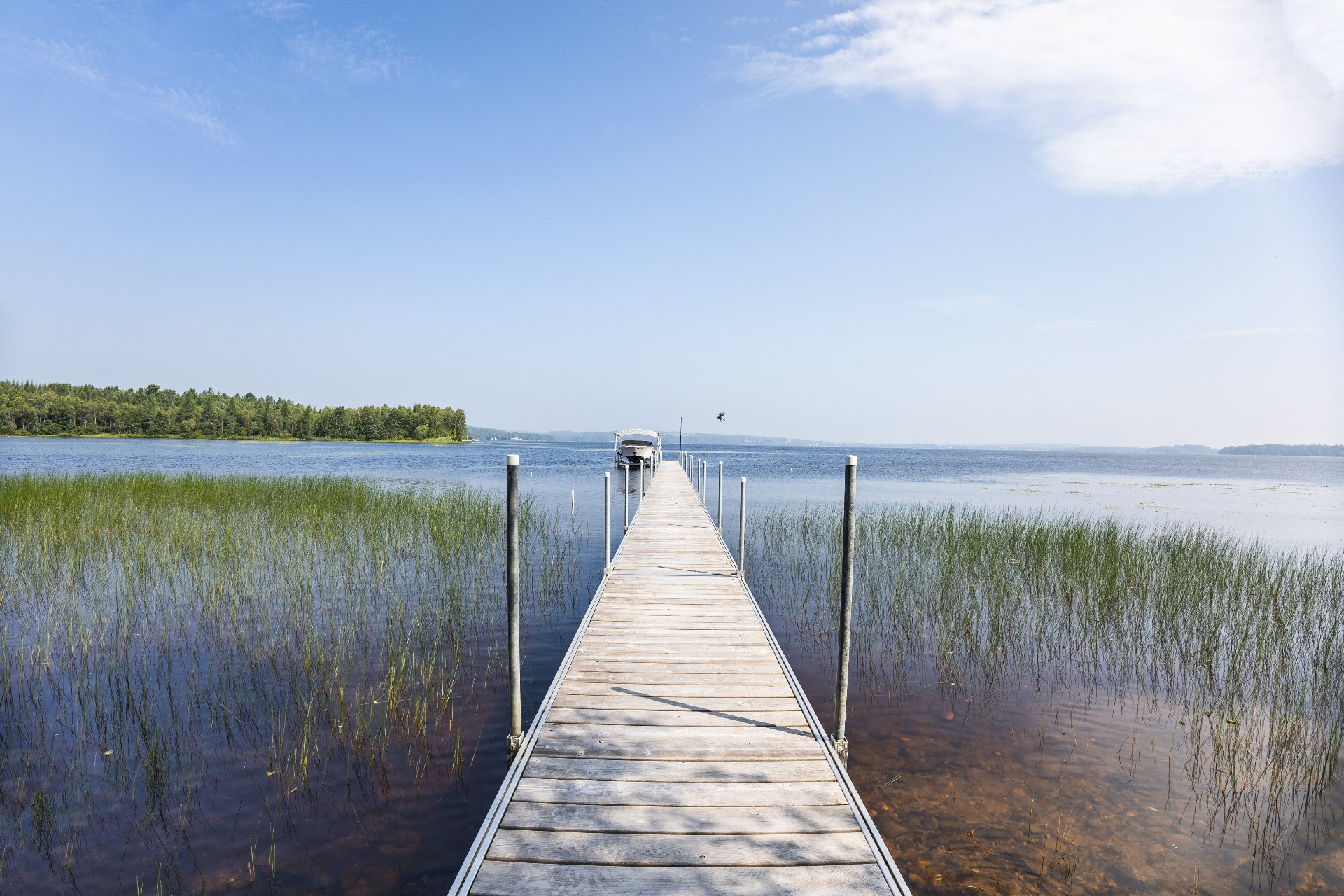 Photo - Bord de l'eau