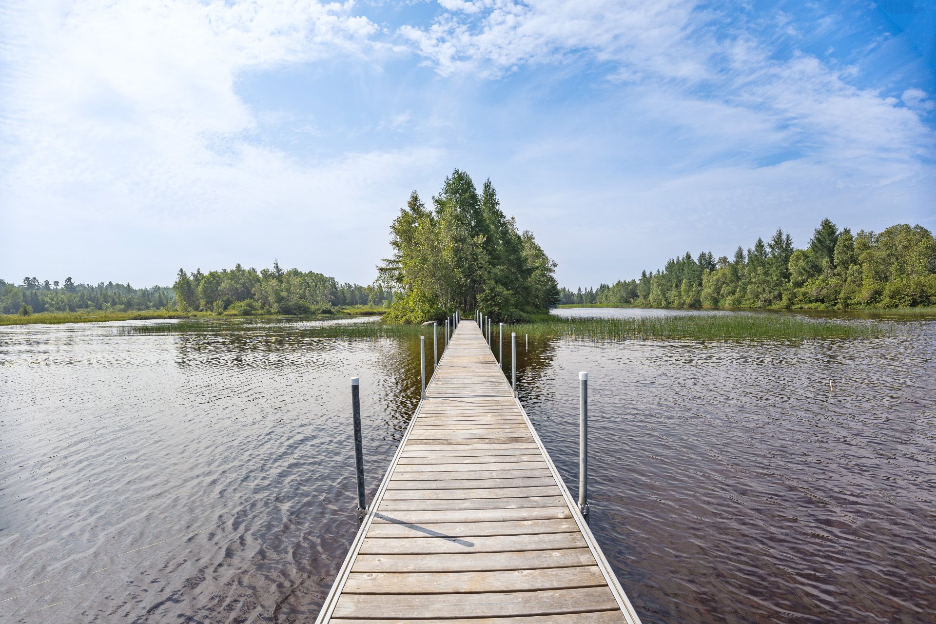 Photo - Bord de l'eau