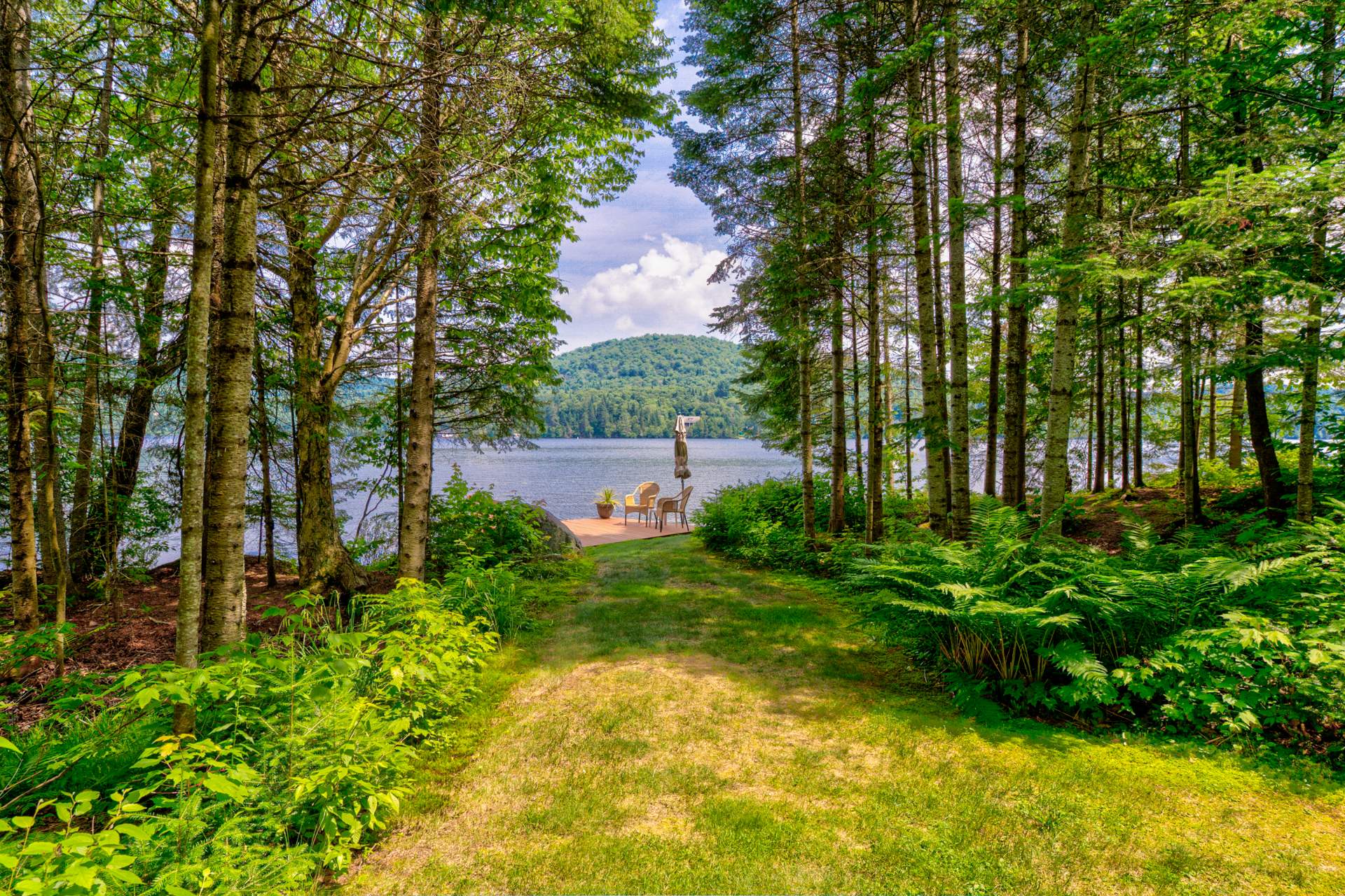 Photo - Bord de l'eau