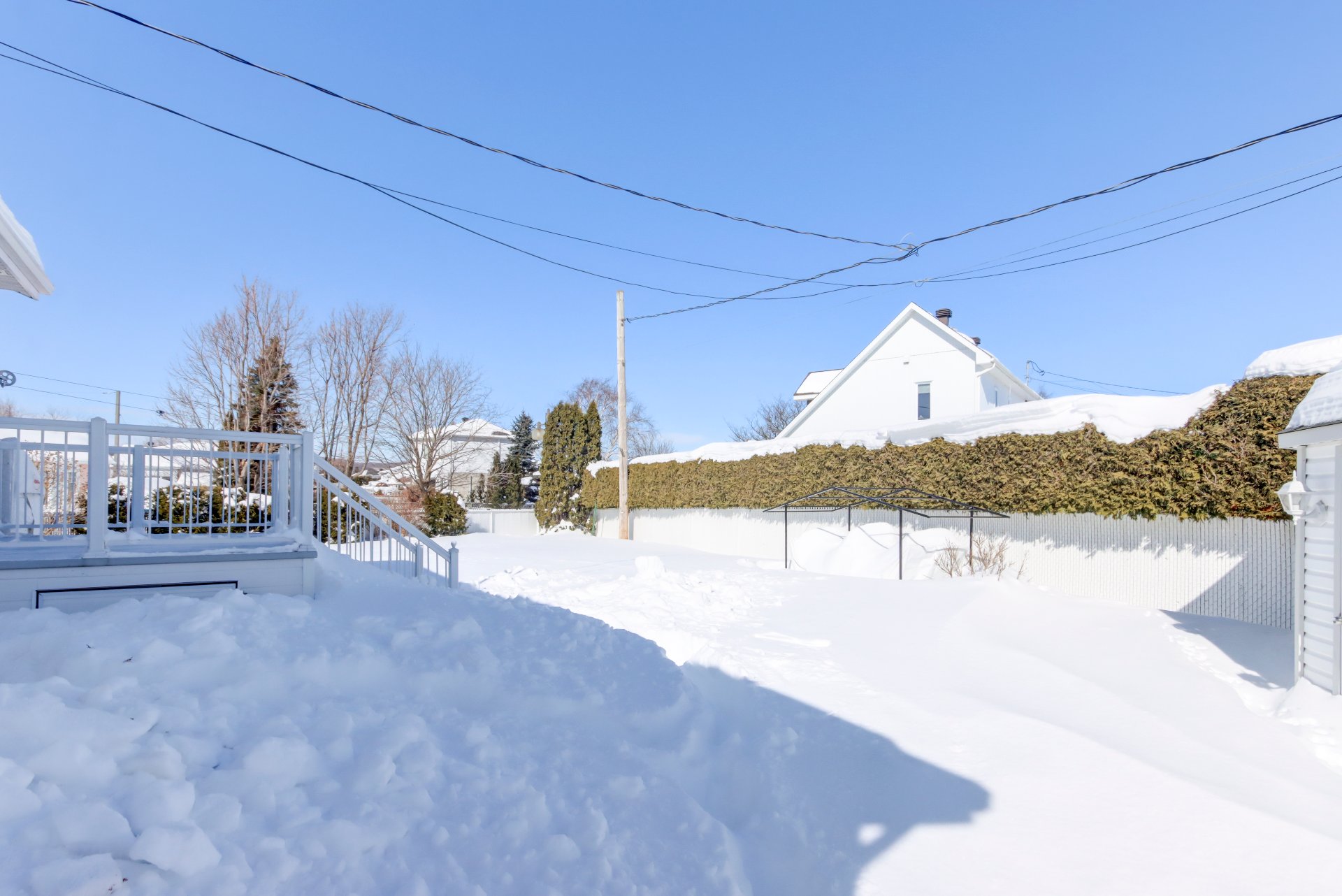 Photo - Backyard