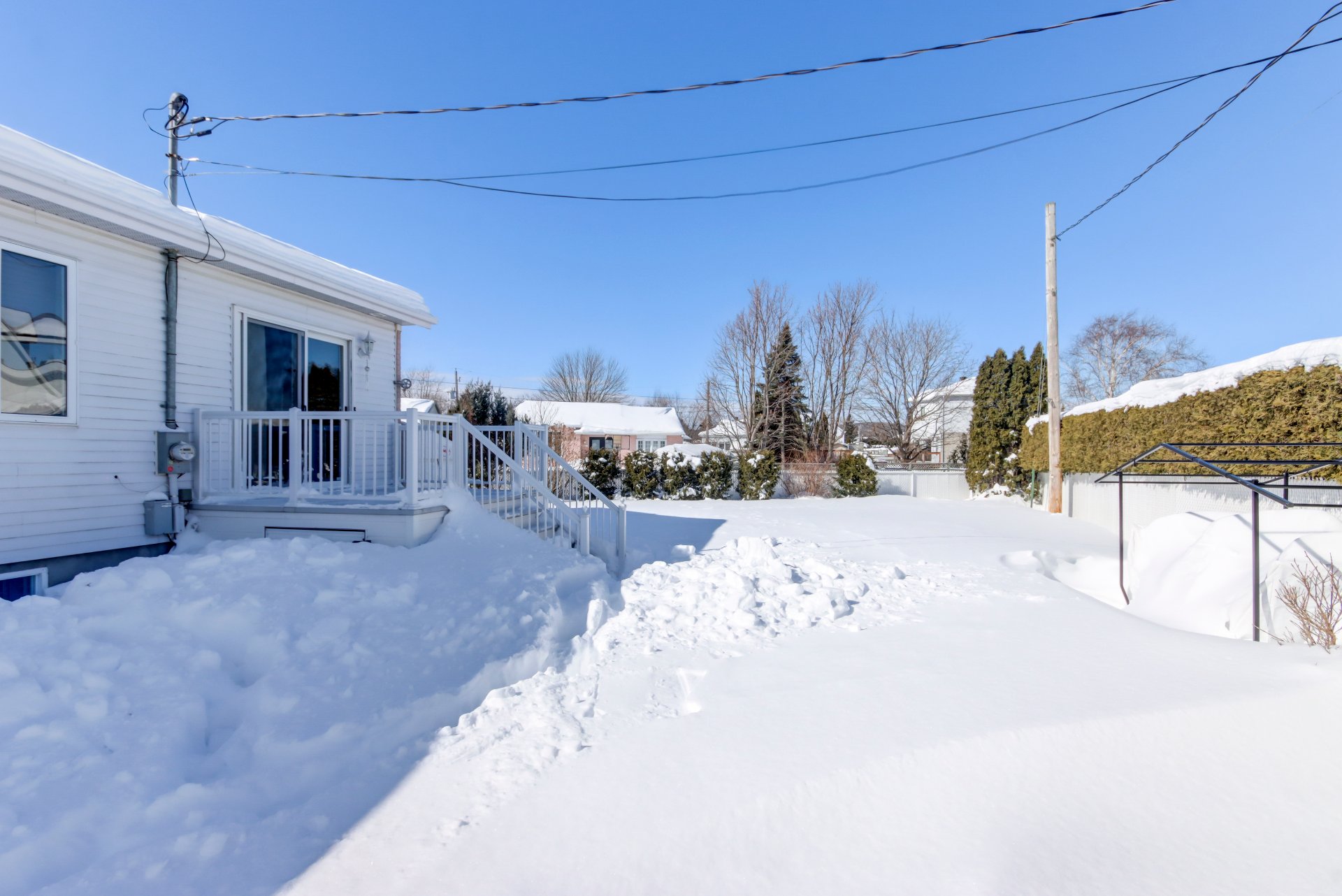 Photo - Backyard