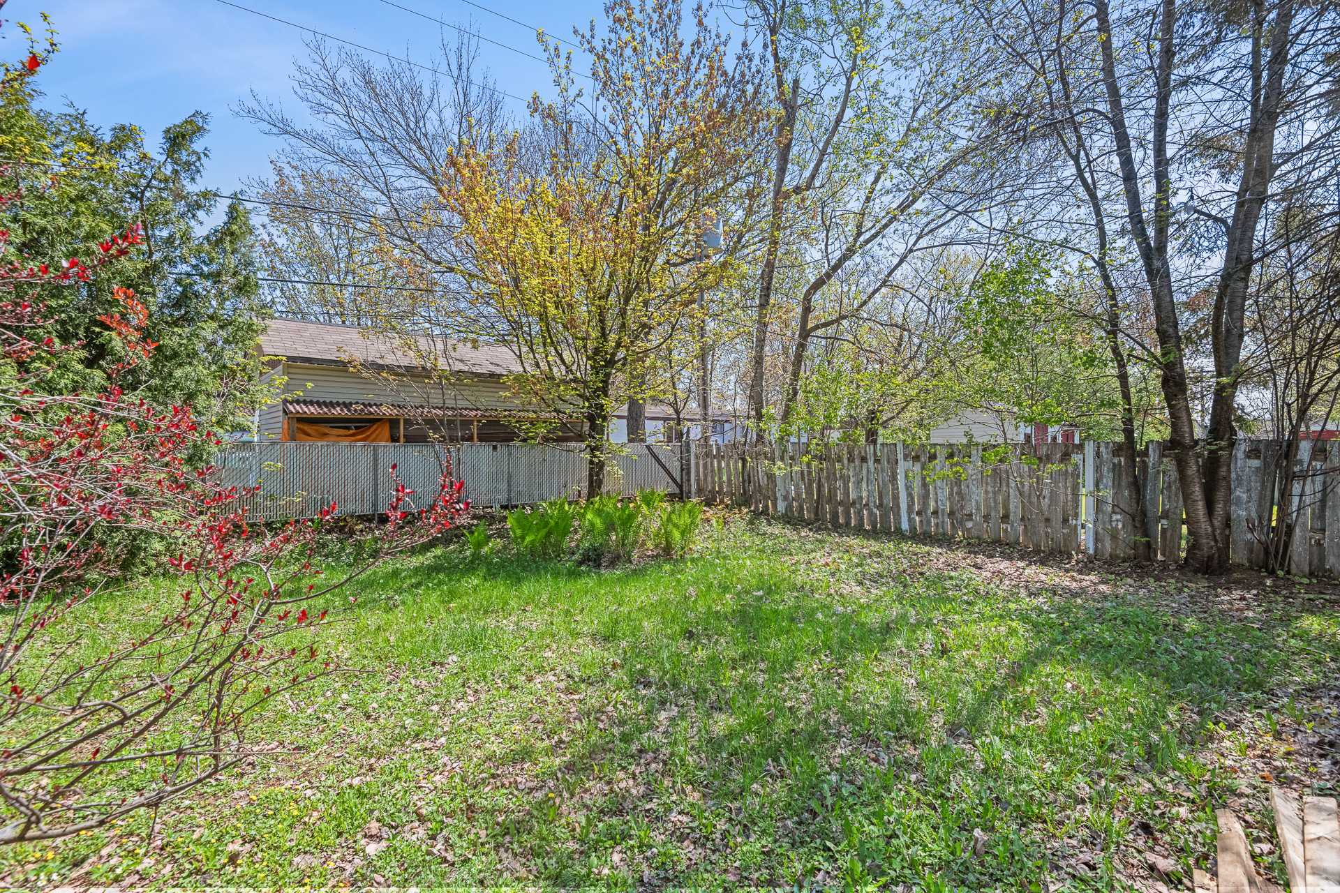Backyard