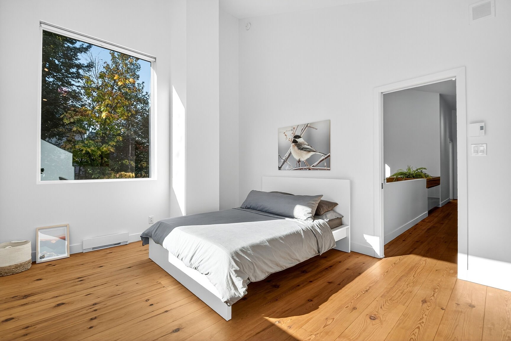 Photo - Chambre à coucher principale