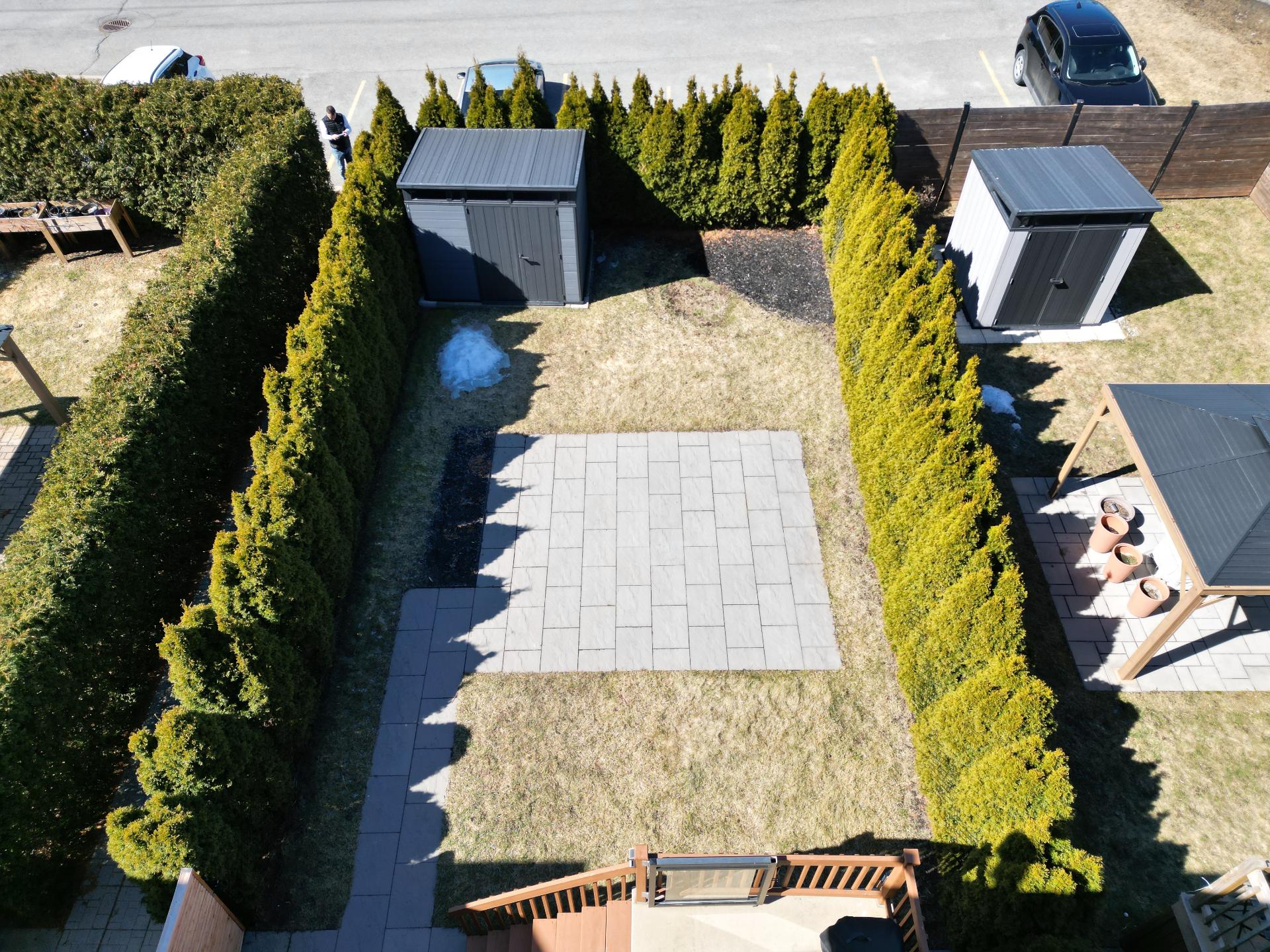 Photo - Backyard