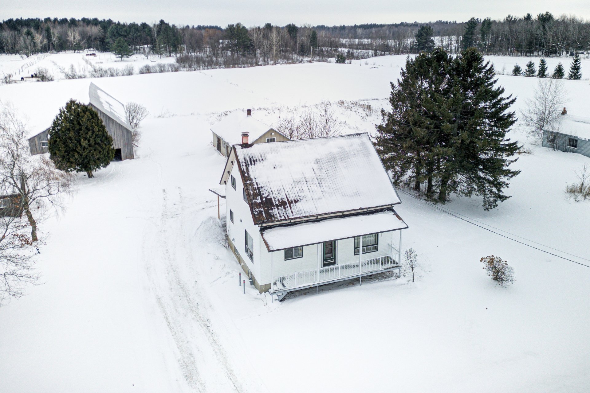 Aerial photo