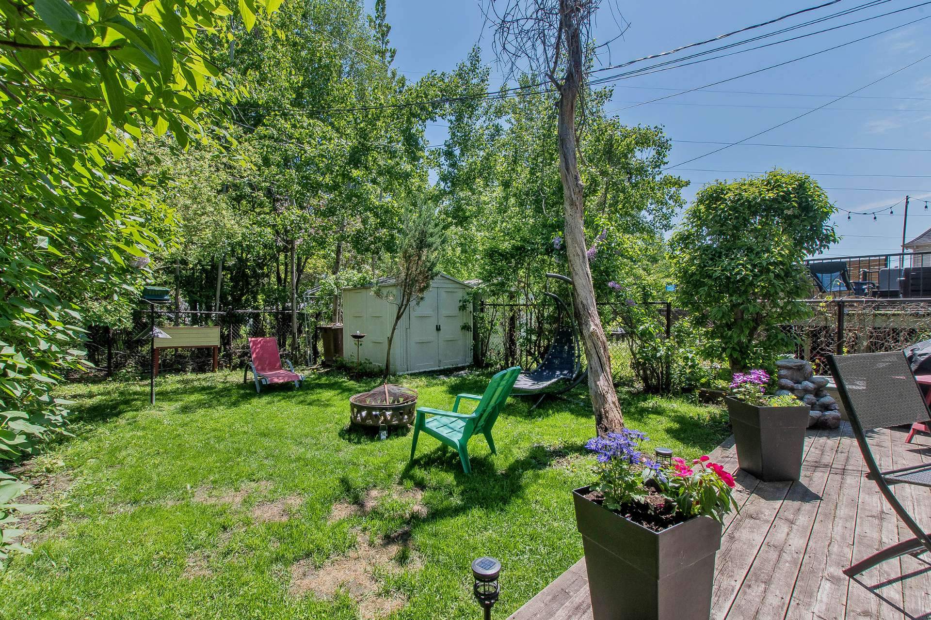 Backyard