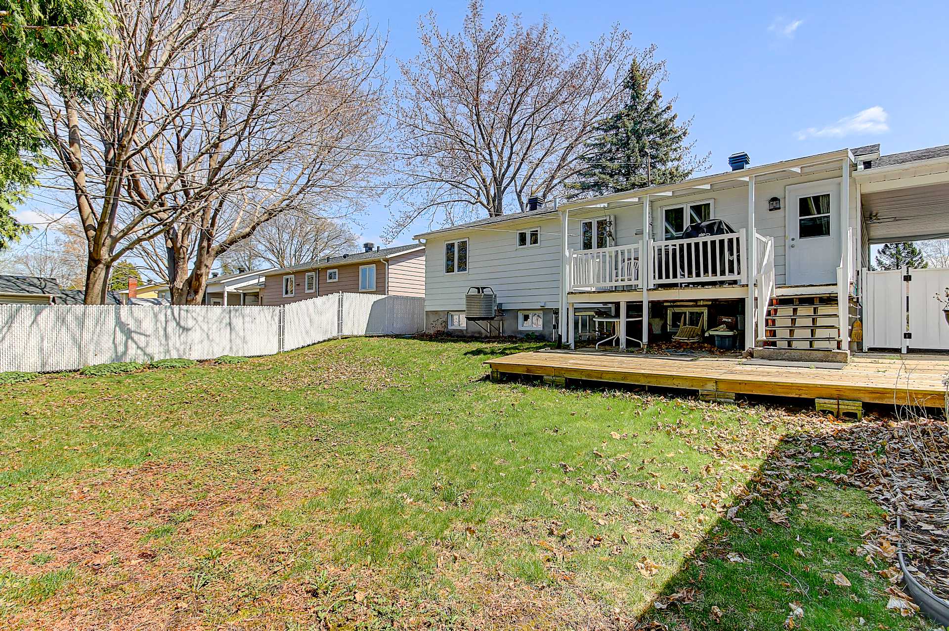 Photo - Backyard