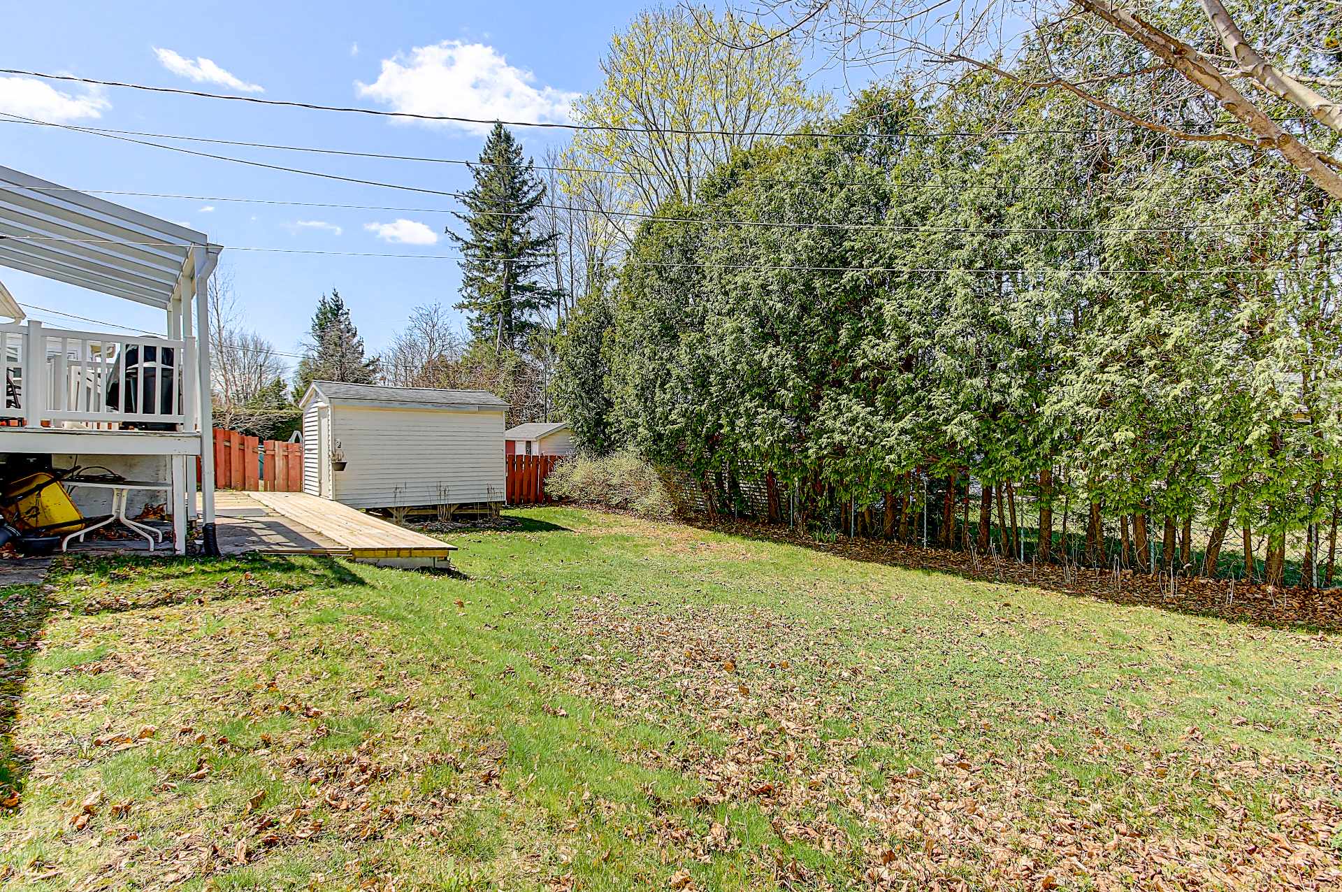 Photo - Backyard