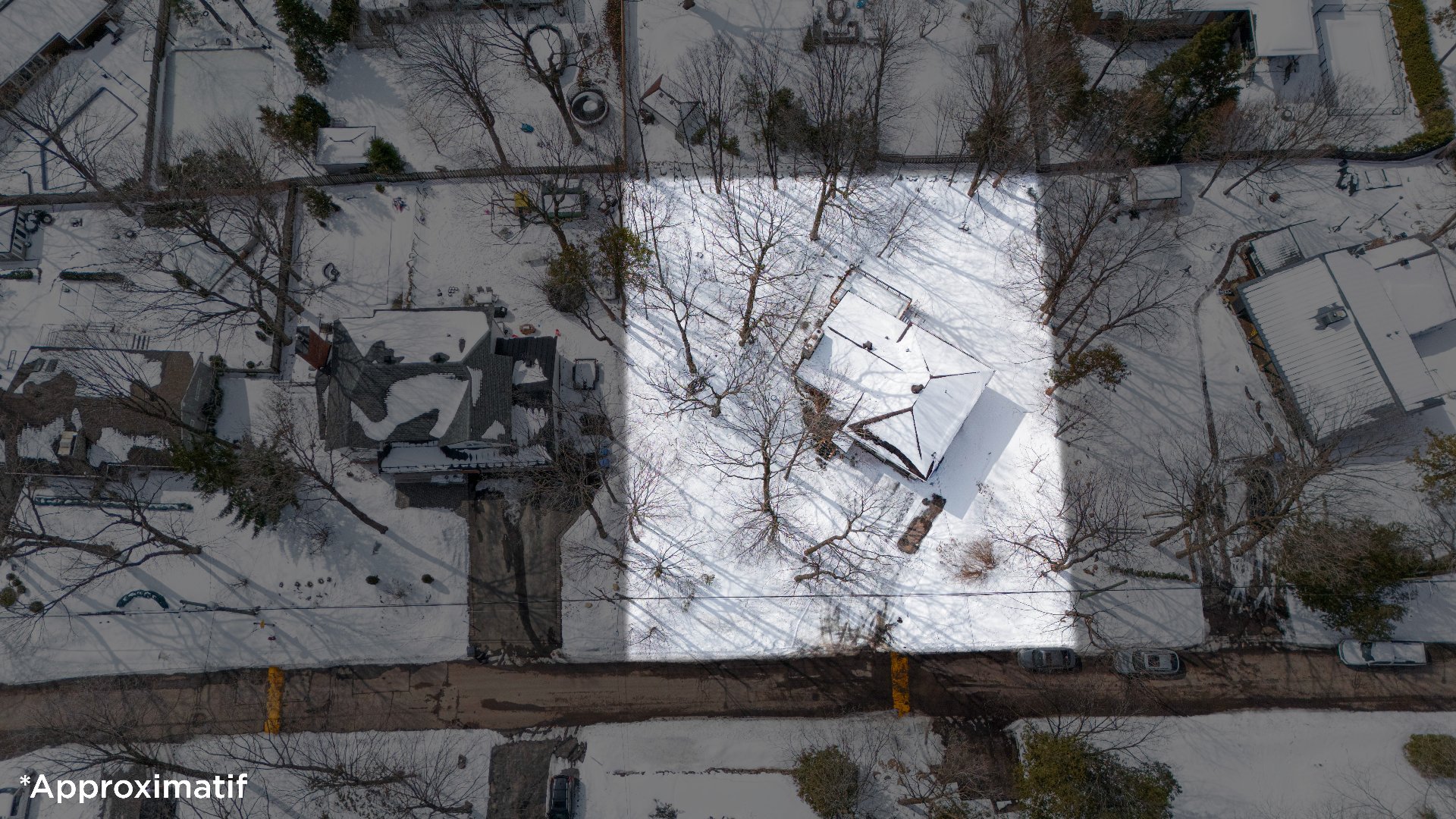 Photo - Aerial photo