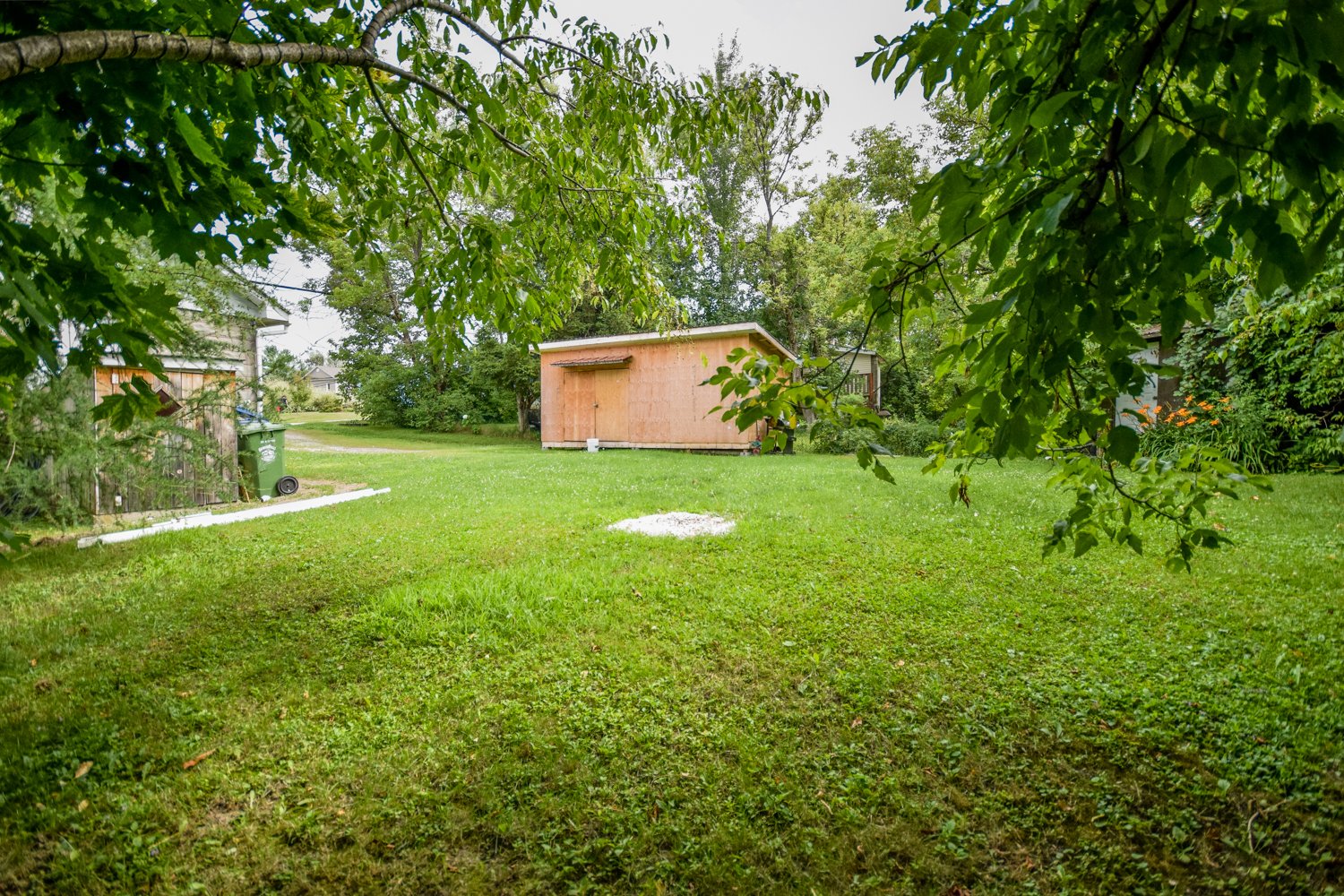 Backyard