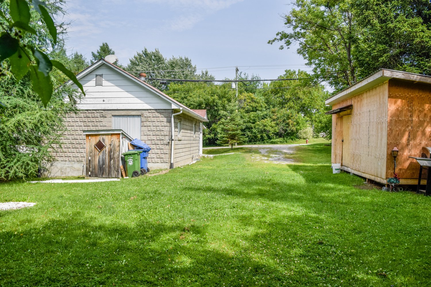 Backyard