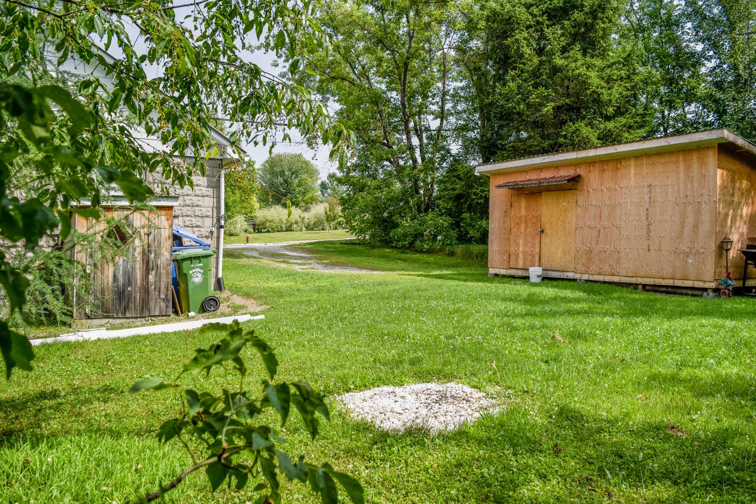 Backyard