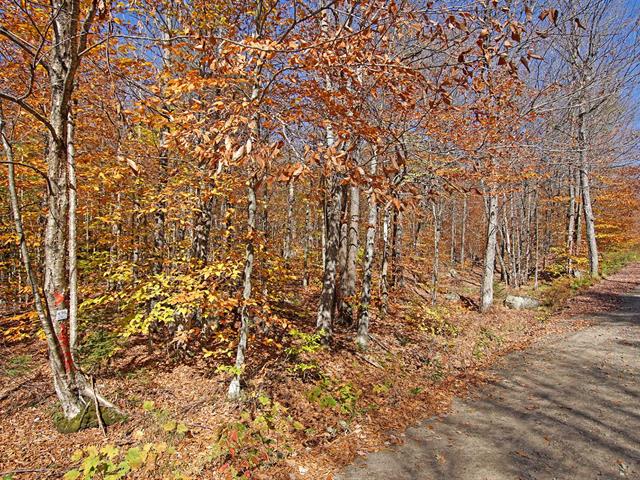 maison à vendre Wentworth