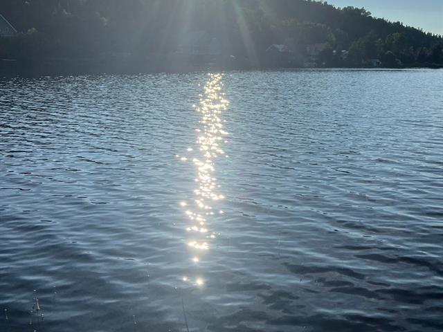 Vue sur l'eau