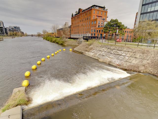 Vue sur l'eau