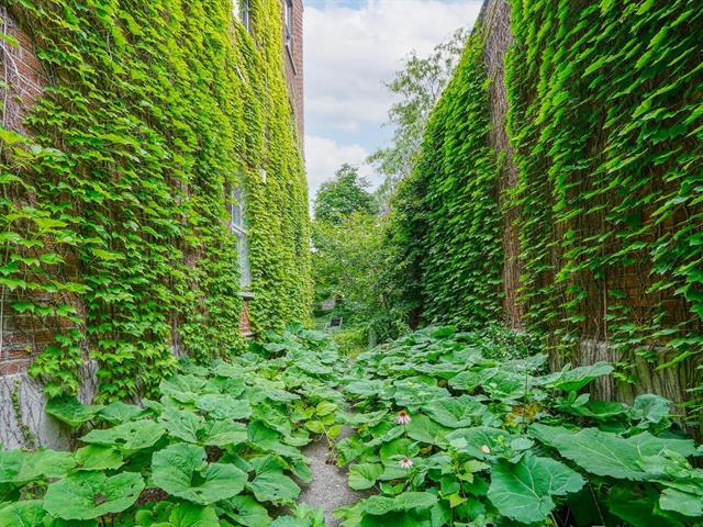 Quintuplex for sale, Montréal (Rosemont/La Petite-Patrie)