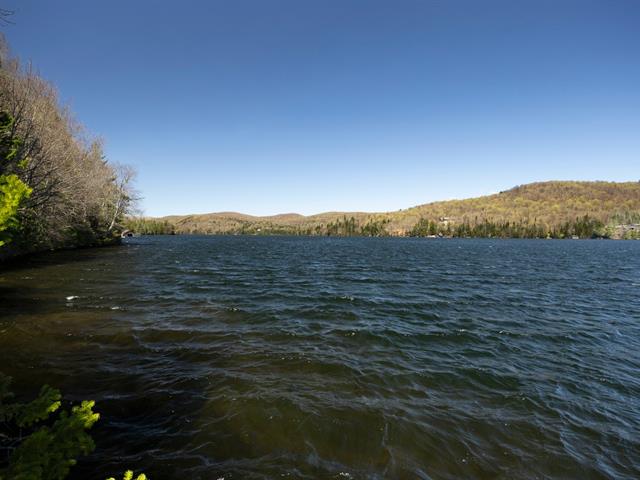 Bord de l'eau