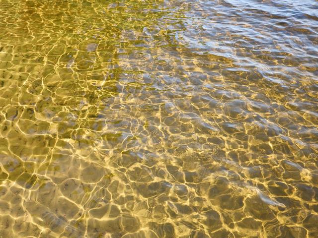 Bord de l'eau
