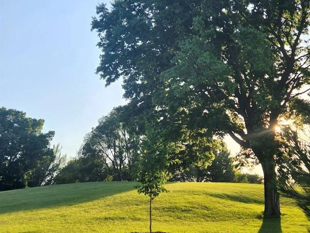 Triplex for sale, Montréal (Rosemont/La Petite-Patrie)
