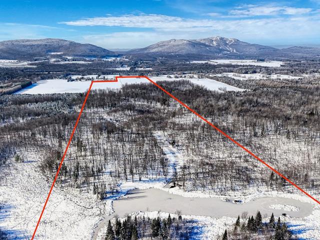 maison à vendre Lac-Brome