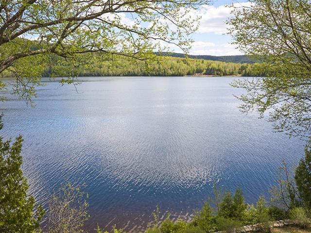 Bord de l'eau