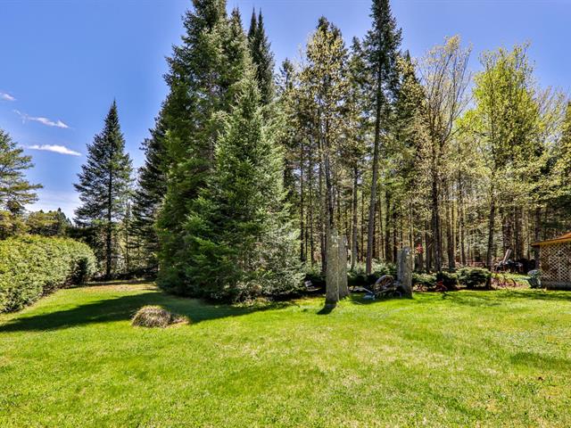 Land/Lot