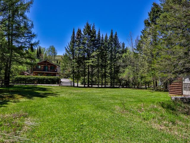 Land/Lot