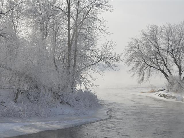 Vue sur l'eau