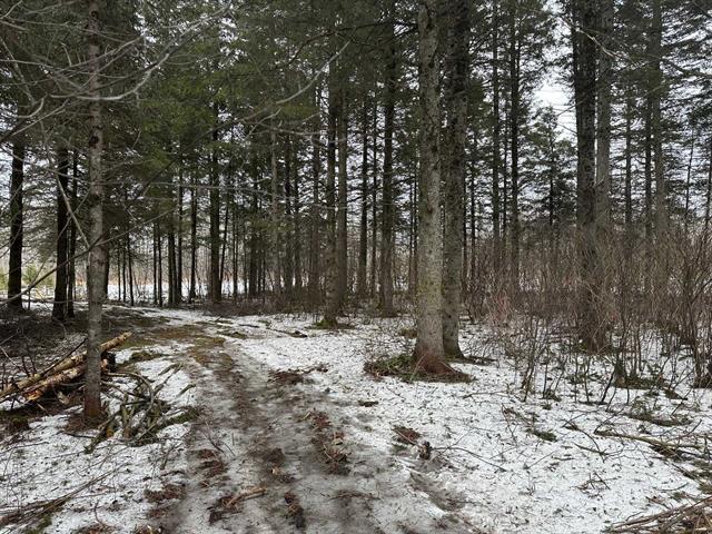 Terre/Terrain