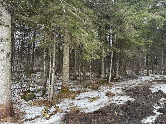 Terre/Terrain